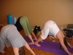 Partner Adho Mukha Vrksasana