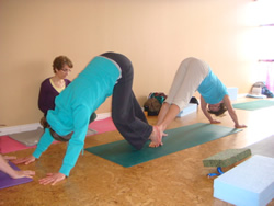 Partner Adho Mukha Vrksasana